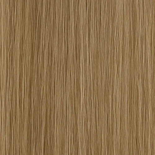 Long Lasting Nail hair - #11 Ash Brown
