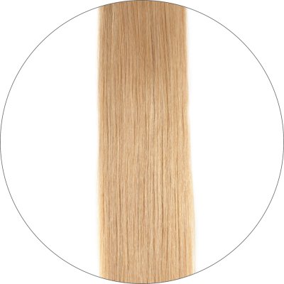 Halo extensions - #18 Medium Blonde