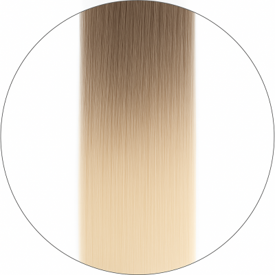 Hårträns - #11/1001 Balayage