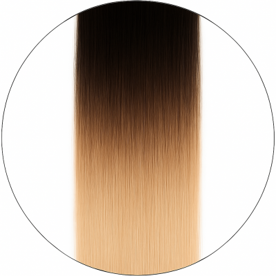 Long Lasting Hårträns - #1/6001 Balayage